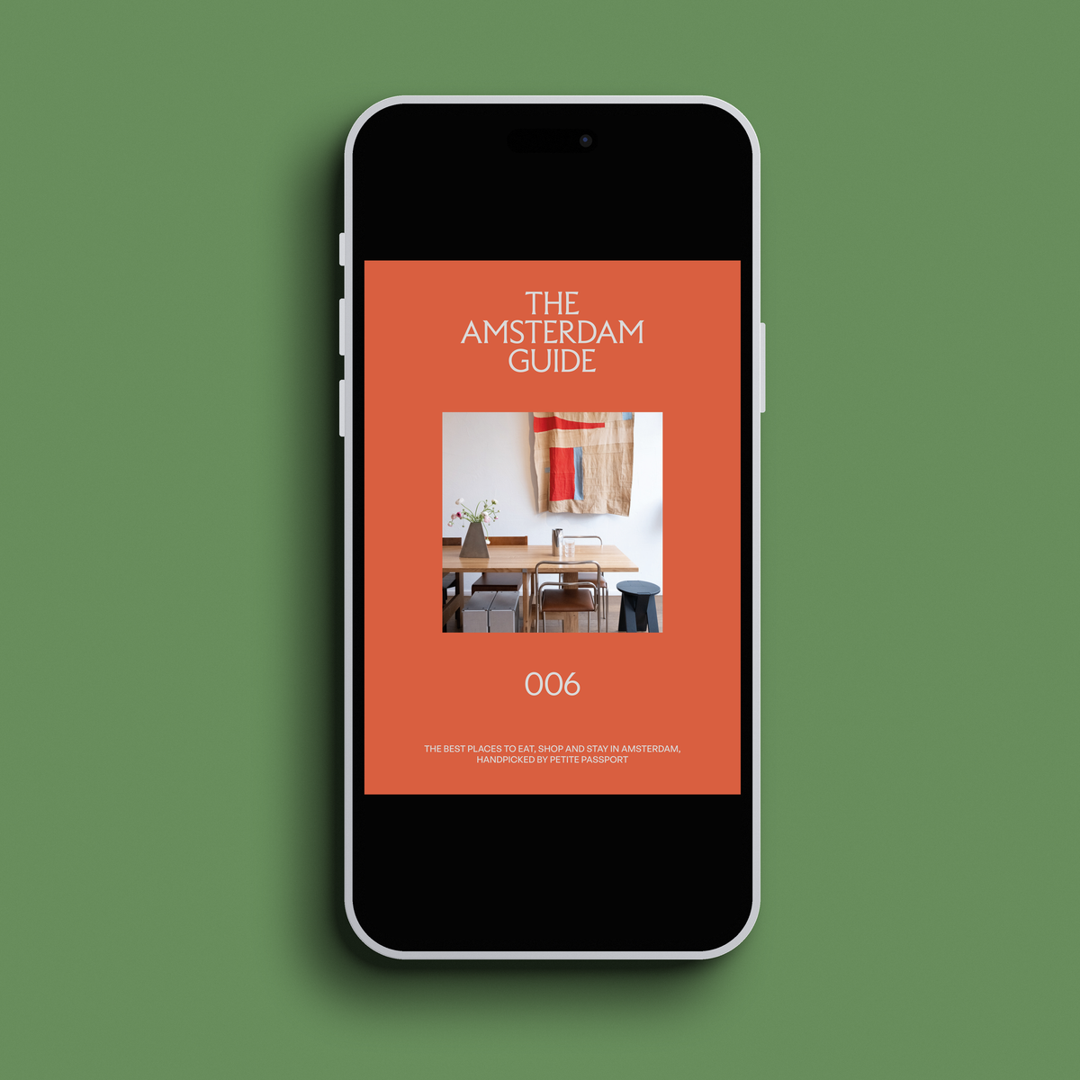 THE AMSTERDAM GUIDE (E-BOOK)